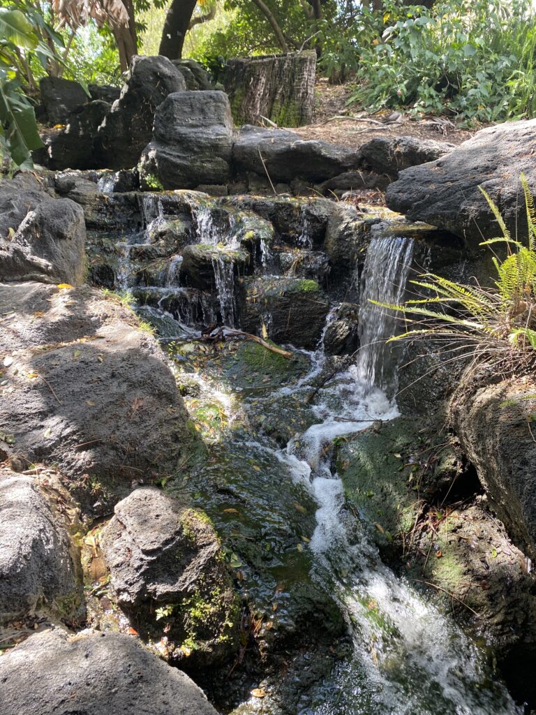 Going With the Flow