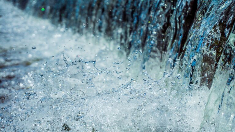 We Gave Clean Water!